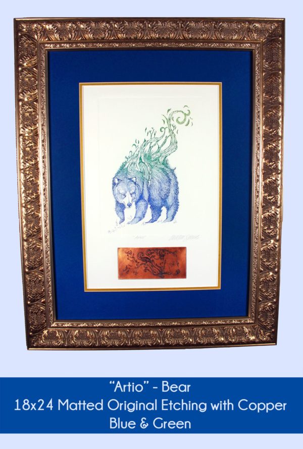 Artio Bear in 18x24 inch matted original etching with copper in the blue and green color option. Blue and Gold double Mat, White Paper and Blue and Green inks.