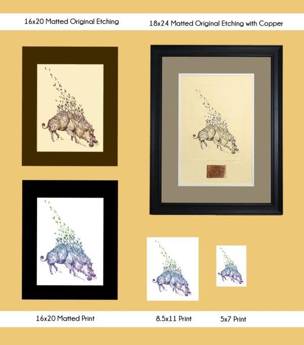 All products of Torc Triath Boar in every size: 5x7 print, 8.5x11 print, 16x20 matted print, 16x20 matted original etching and 18x24 matted original etching with copper displayed together on a wall