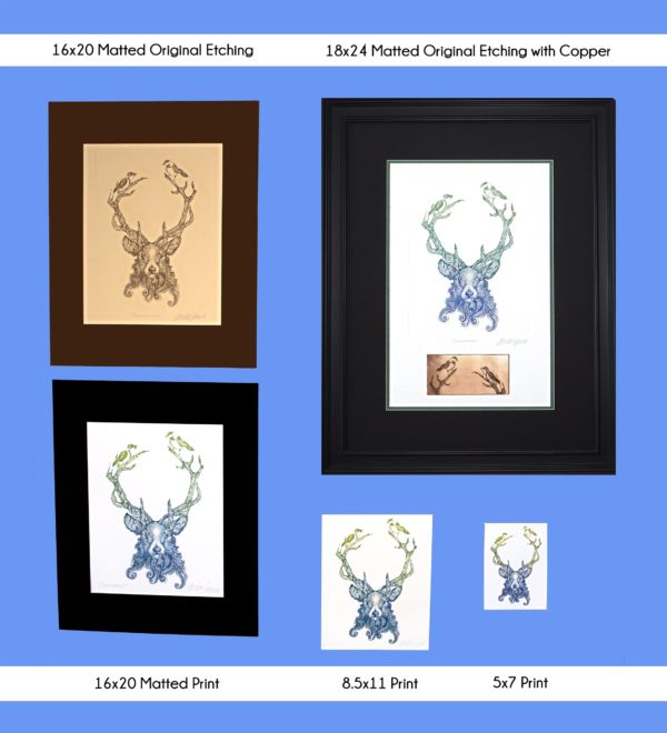 All products of Cernunnos Stag in every size: 5x7 print, 8.5x11 print, 16x20 matted print, 16x20 matted original etching and 18x24 matted original etching with copper displayed together on a wall