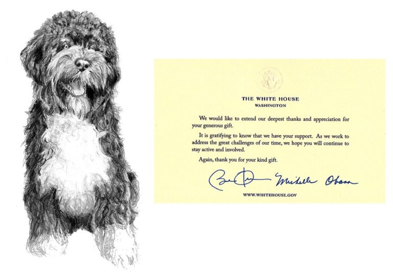 Original Pet Portrait of "Bo" President Obama's pet dog created by artist Chelsea Smith with the letter from the white house that reads "We would like to extend our deepest thanks and appreciation for your generous gift. It is gratifying to know that we have your support. As we work to address the great challenges of our time, we hope you will continue to stay active and involed. Again, thank you for your kind gift." It is signed by President Barack Obama and First Lady Michelle Obama