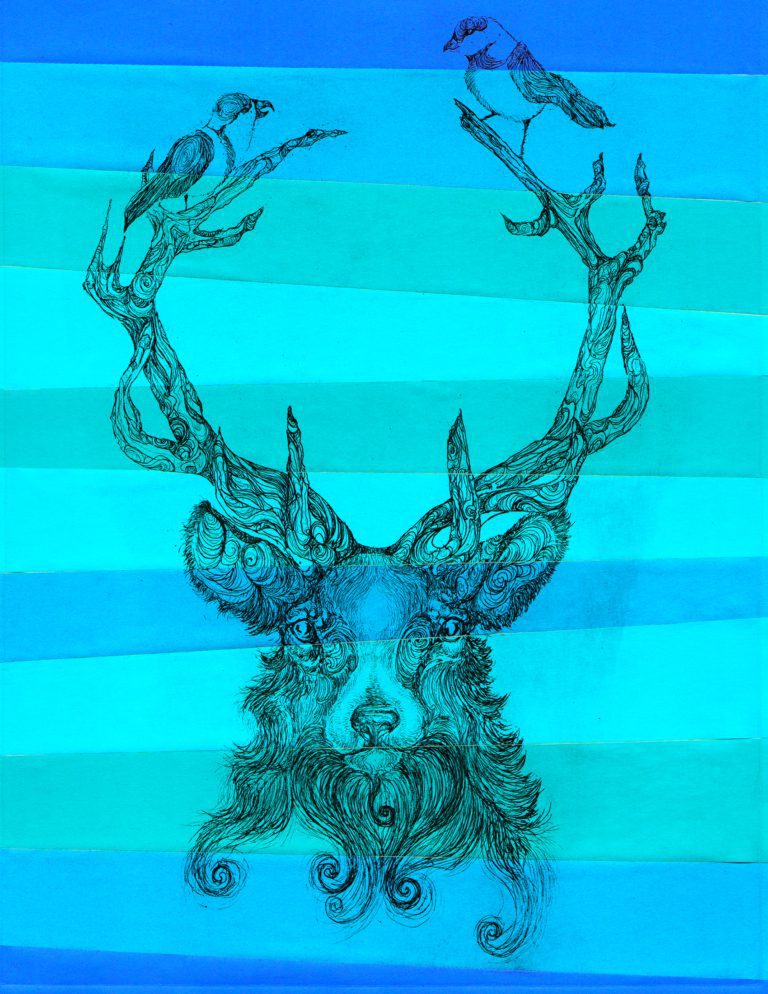 stag blue 8x11